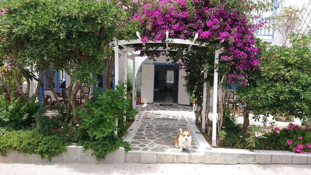 Panorama Paros Hotel Exterior foto